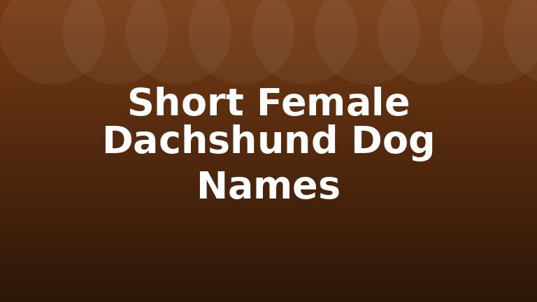 Short Female Dachshund Dog Names