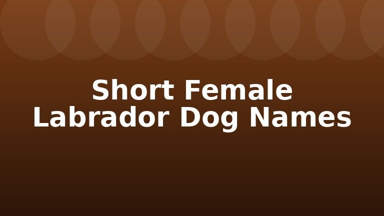 Short Female Labrador Dog Names