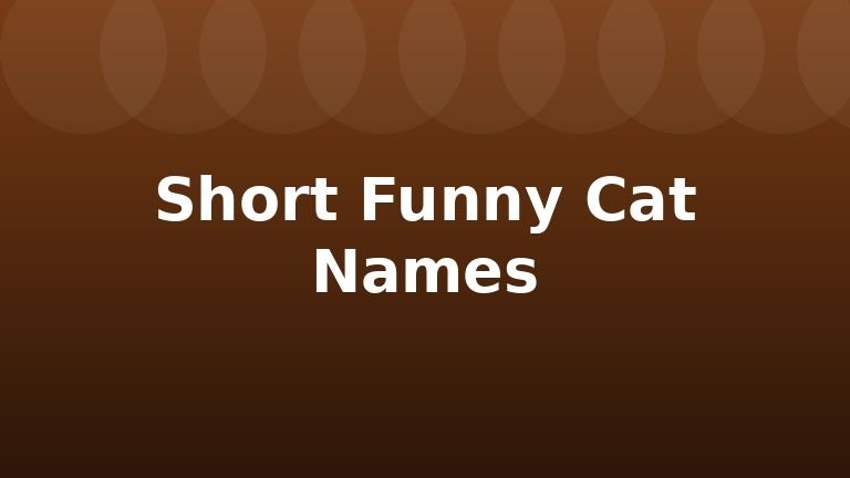 Short Funny Cat Names