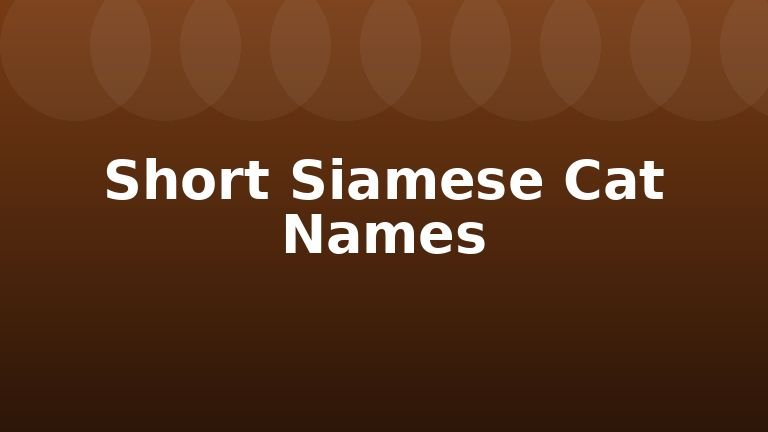 Short Siamese Cat Names