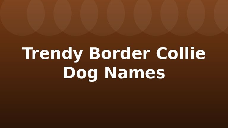 Trendy Border Collie Dog Names