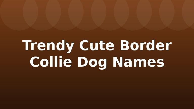 Trendy Cute Border Collie Dog Names