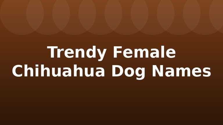 Trendy Female Chihuahua Dog Names