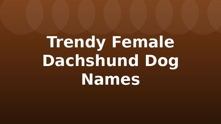 Trendy Female Dachshund Dog Names