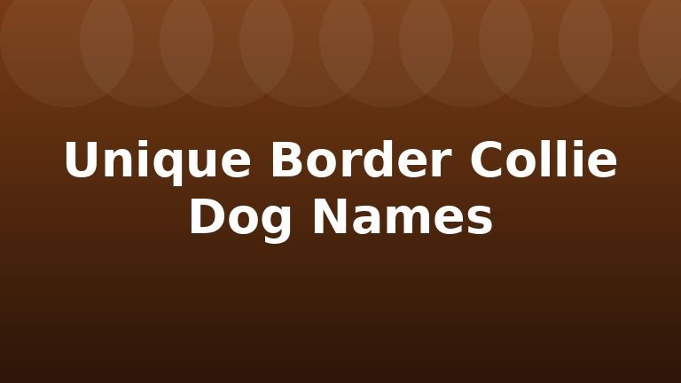 Unique Border Collie Dog Names