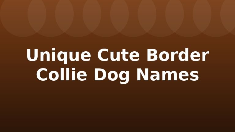 Unique Cute Border Collie Dog Names