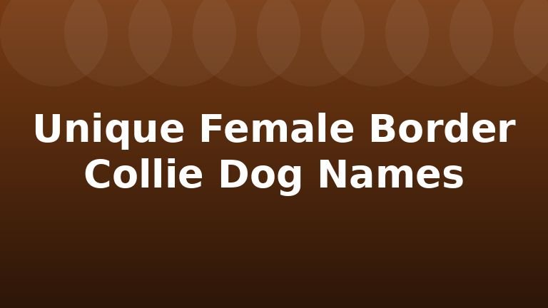 Unique Female Border Collie Dog Names