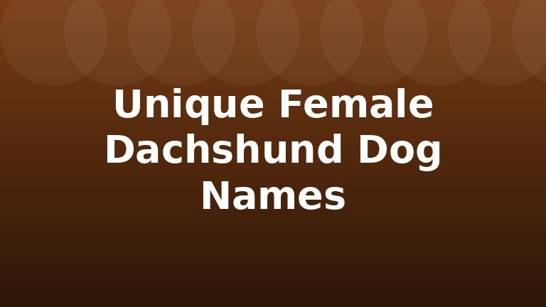 Unique Female Dachshund Dog Names